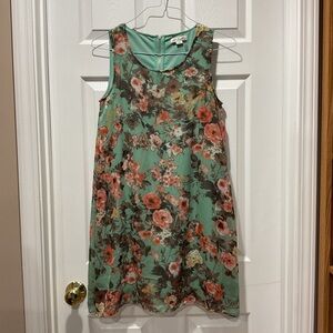 Simply Noelle Dress Mint Green Floral Sheer Chiffon with lining